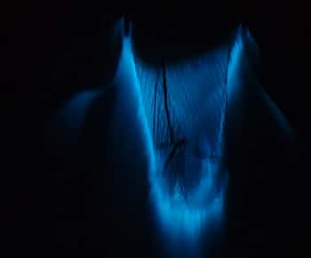Private Bioluminescence Tours- Cocoa Beach Up to 6 Guests