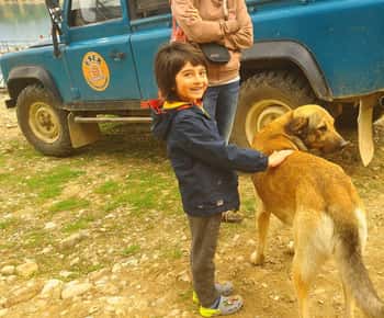 Lateral: Jeep Safari e Lion Safari com almoço e Green Canyon