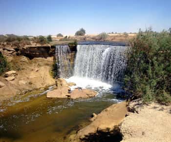 From Cairo: Full-Day Tour To El Fayoum