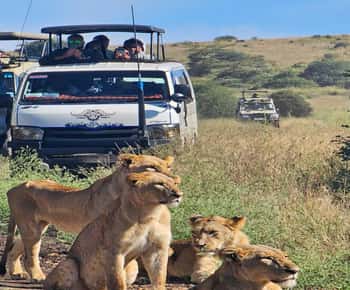 Nairobi: Nairobi National Park 5-hour Guided Game Drive