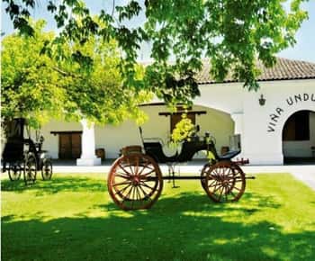 Undurraga Wine tour