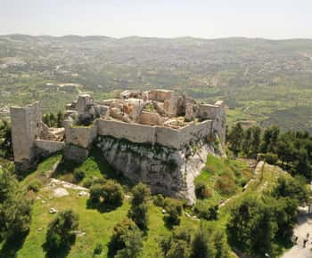 From Amman: Jerash and Ajloun Castle Private Full-Day Trip