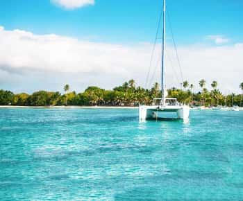 Punta Cana: Saona Island Full-Day Catamaran Cruise