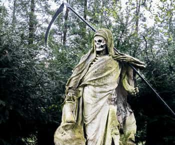 Melaten Friedhof : Visite guidée avec tous les sens