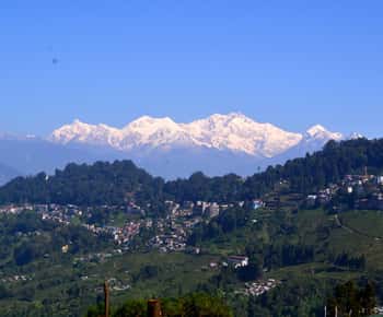 Excursão a pé guiada pela cultura e natureza de Darjeeling