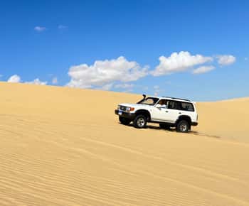 From Cairo: Desert Safari, Camel Ride, Magic Lake, & Lunch