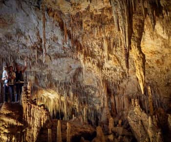 Rio Margaret: Visita auto-guiada de áudio à Mammoth Cave