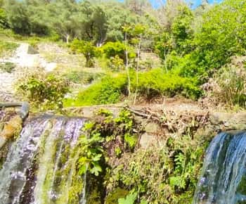 Von Chania aus: Kournas See & Argiroupoli Quellen Geführte Tour