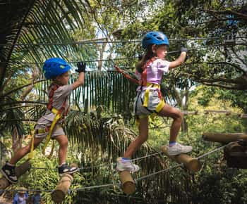Ourimbah: Central Coast Junior Tree Ropes Course