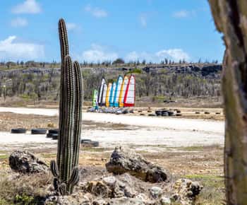 Blokart Landsailing aan de kust van Caribisch Bonaire
