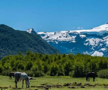 Bariloche: Excursão ao Cerro Tronador e à geleira Ventisquero Negro