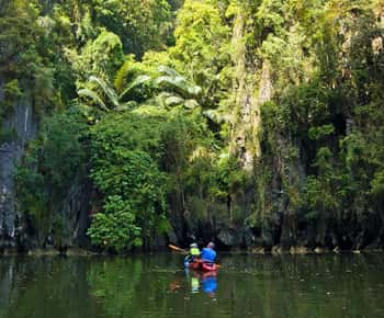 Krabi: Aventura de caiaque pela floresta de mangue de Ao Thalane