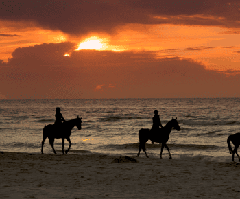 Puerto Rico: Sunset Horseback Rides in Aguadilla Beach