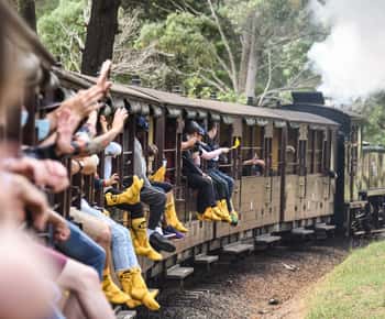 From Melbourne: Puffing Billy Steam Train & Wildlife Tour