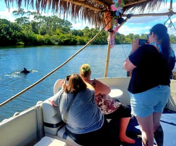 Passeio turístico de 2 horas com golfinhos Tiki em Cocoa Beach