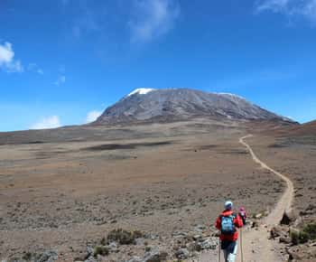 Kilimanjaro: 14-Day Climb and Zanzibar Island Retreat