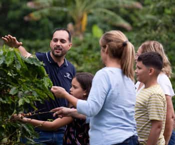 Jayuya: Visita y taller de café en la Hacienda Prosperidad