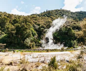 Waimangu Volcanic Valley Ticket & Self-Guided Walk