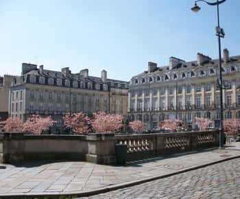 Rennes: Private Guided Walking Tour