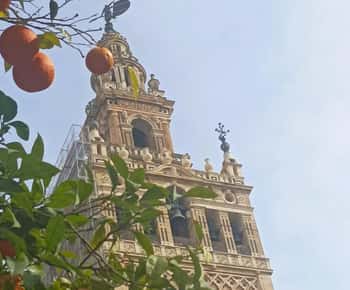 Private tour with a local guide: discover Seville's must-see sights