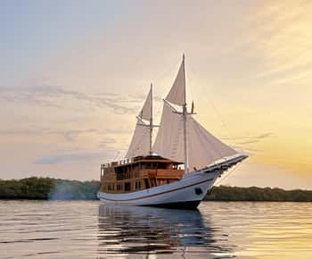 ピンクビーチ、西ヌサトゥンガラ チケット＆ツアー | ゲットユアガイド