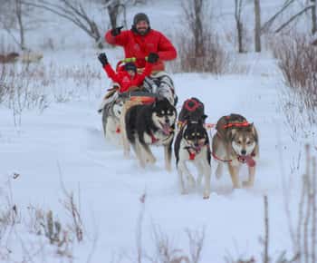 Mont-Tremblant: Abenteuer Hundeschlittenfahrt im Tal