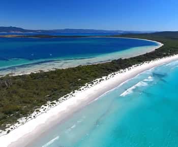 Ab Triabunna: Maria Island Kreuzfahrt & geführte Wanderung mit Mittagessen