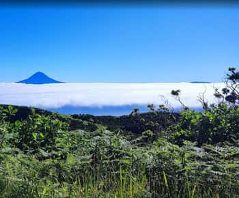 São Jorge: Insel, Waldreservat & Fajãs Geführte Tour