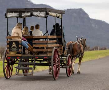 Pokolbin: Harvest the Hunter Horse Drawn Carriage Tour 3hrs