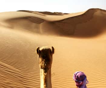 Tour privato di 2 giorni e 1 notte nel deserto di Wahiba Sands