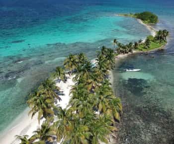 Placencia: Snorkelen en eilandervaring bij Laughing Bird Caye