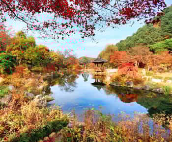 Seoul: Nami Island and Garden of Morning Calm opt Railbike