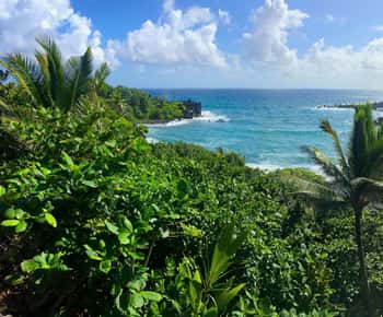 Maui: Road to Hana Sightseeing Tour