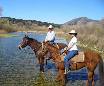 Santa Barbara: Scenic Canyon Horseback Riding Tour