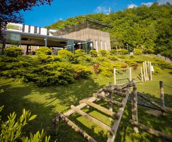 Kosovo: Bear Sanctuary Prishtina, (guided tour & shuttle)