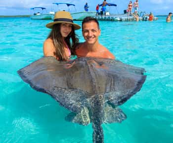 Antigua: Stingray City-oplevelse med transport t/r