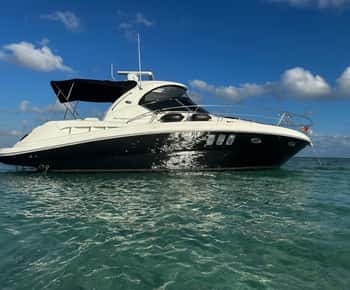 Luxury 4 Hour Private Boat Charter
