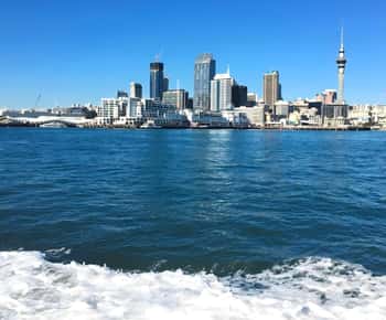 Auckland: Waitematā Harbour Cruise med live kommentarer