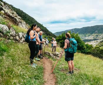 Von Funchal: Klippenwanderung von Machico nach Porto da Cruz Larano
