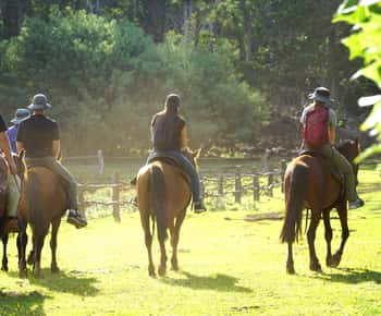 Monte Terevaka: Passeio a cavalo e plantação pela manhã