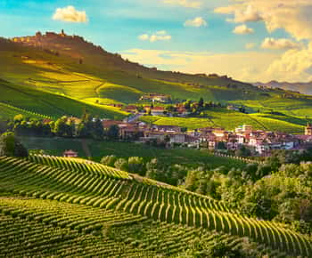 Vanuit Milaan: Barolo wijnproeverij, Alba tour en kasteelbezoek