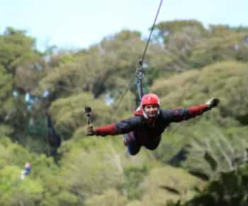 Monteverde: Thrilling Zip Line Canopy Tour
