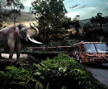 Singapore: Night Safari Ticket, Tram Ride, & Return Transfer
