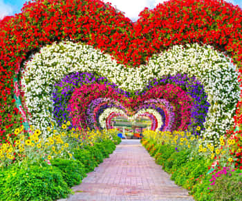 Dubaï : Billets pour le Jardin des Miracles avec transfert aller-retour
