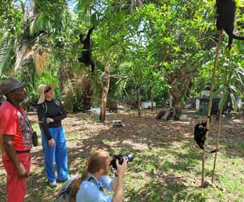 Howler Monkey Sanctuary Tour from Belize City
