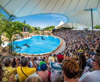 Biglietto d'ingresso al Loro Parque