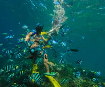 Lombok: Snorkelen op Gili Nanggu, Sudak & Gili Kedis
