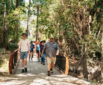 Au départ de Darwin : Excursion d'une journée dans la nature sauvage de Kakadu