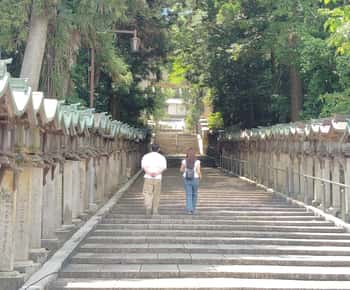 Nara: Hozan-ji Temple Guided Tour with Cable Car Ride