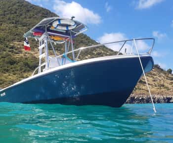 Saint Martin: Private boat trip with skipper